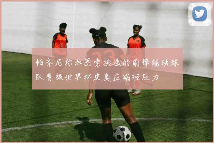 帕齐尼称加图索挑选的前锋能助球队晋级世界杯皮奥应减轻压力